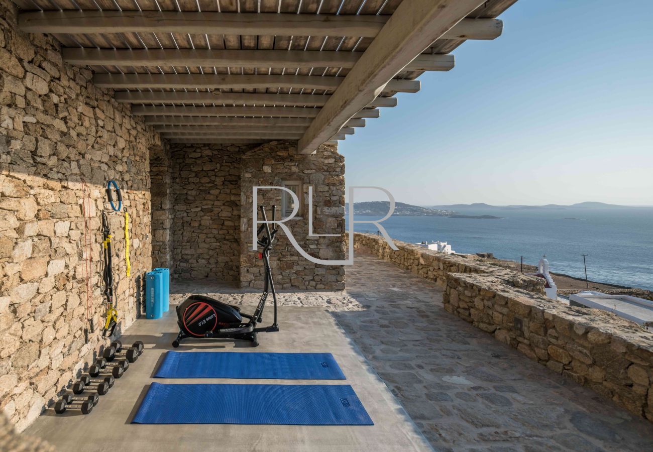 Villa in Mykonos - Villa Neree